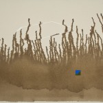 _MG_4460