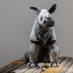 Mathieu Gotti, Le dernier Rhinocéros du nord, 2021