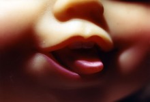 Diana Thorneycroft, Doll Mouth (tongue), 2005