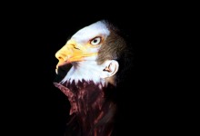 Meryl McMaster, Eagle, 2010