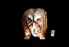 Meryl McMaster, Owl, 2010