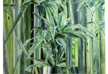 Hédy Gobaa, Dracaena, 2017
