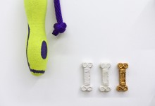 04-Nicholas-Crombach-The-End-of-the-Chase