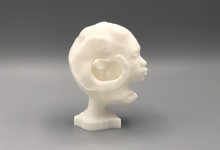 Auriea Harvey - ram-maquette2