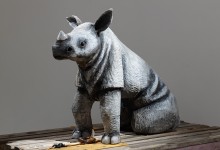 Mathieu Gotti, Le dernier Rhinocéros du nord, 2021