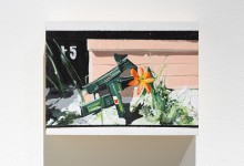 Fanny Soudeyns, Quartiers, armes et fleurs sauvages, 2023
