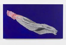 Colleen Wolstenholme, Blanket Squid, 2023