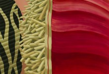 Judith Berry, Vague rouge, 2024