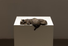 045-Brandon Vickerd-Phantom Pain-photo Michael Patten