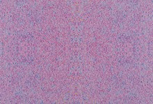 040-Christine Nobel-Notes cosmiques