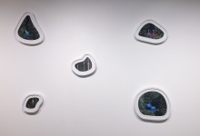 010-Jazz Keillor-Landscaped