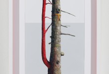 Jazz Keillor Parasite, 2025