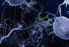 011-Oli Sorenson-Video Pistoletto