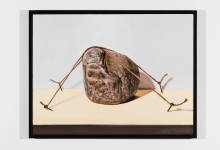 David Garneau-3S5A1551-HDR