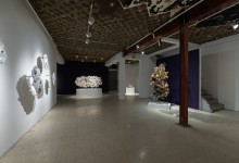 018-Nicholas Crombach- Xenolithic