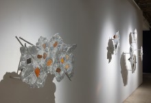 048-Nicholas Crombach- Xenolithic